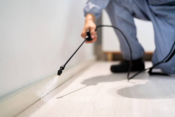 Licensed Cockroach Control service in McCamey, TX - Nex Pest Control