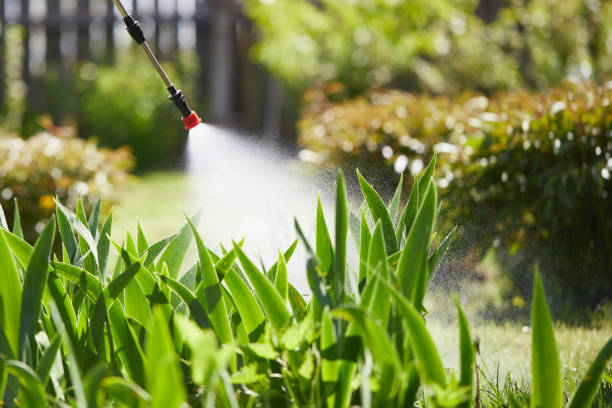 24/7 Emergency Cockroach Control experts in McCamey, TX