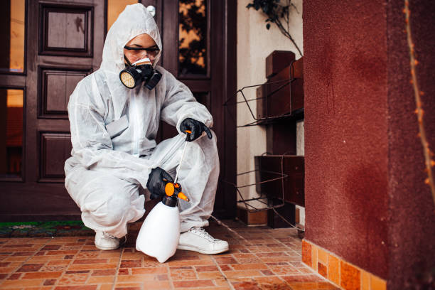 Reliable Cockroach Control contractor in McCamey, TX by Nex Pest Control