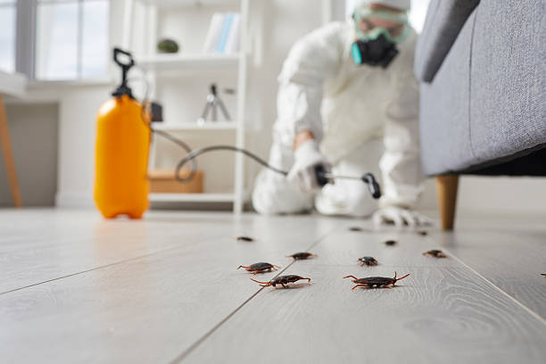Trusted Rodent Control service in McCamey, TX - Nex Pest Control